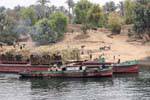 Loading crops on barges, banks of the Nile near Luxor, Egypt.