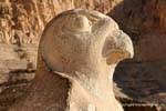 Hawk Profile Horus, Temple of Hatshepsut, Egypt.