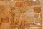 Temple of Hatshepsut, a child drinking the sacred milk udder, Egypt.