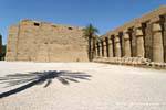 Palm shade in the courtyard facing the second pylon, Karnak Temple, Egypt.