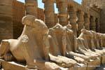 Row of Sphinx Bubastites portico of the first courtyard, Karnak Temple, Egypt.
