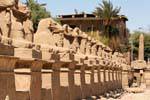 Luxor Temple - Egypt