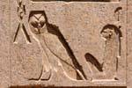 Owl of wisdom, Unilitère m, recessed relief, Karnak Temple, Egypt.