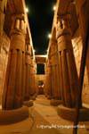 The Sanctuary of the bark of Amun, Luxor Temple, Egypt.