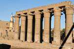 Gallery Colonnade of Amenhotep III and minaret in the background, Luxor Temple, Egypt.