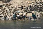 Dishes in the Nile water, Egypt.