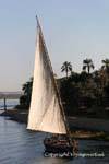 Great white sail on the Nile, Egypt.