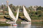 Trapezoidal sails and palm Nile, Egypt.