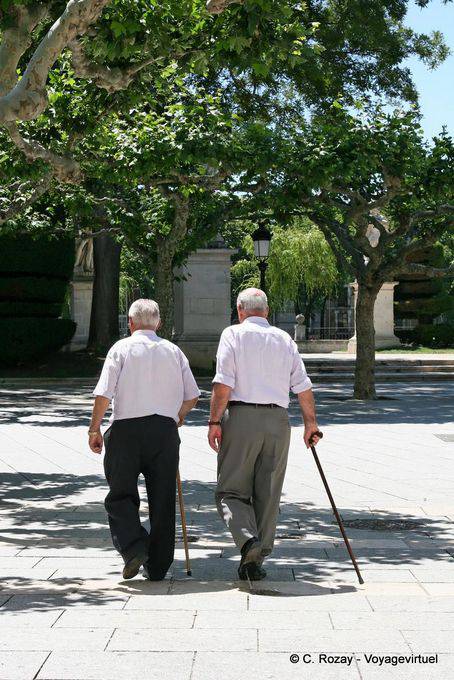 The two former cane, Burgos - Spain