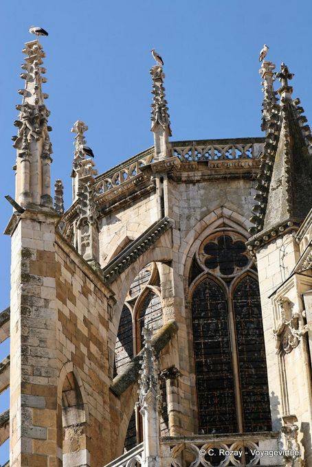 Storks on León Cathedral - Spain