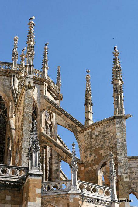 Another view of the storks installed on the stone lace, Notre Dame Cathedral of Leon - Spain