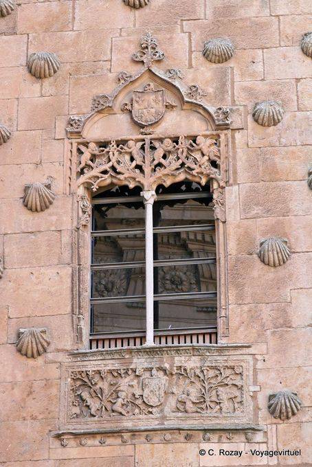 Reflection in glass and shells Casa de las Conchas, Salamanca - Spain