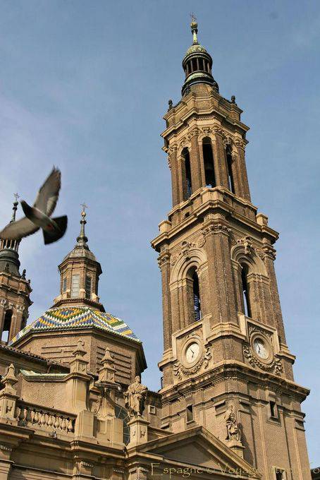 Pigeon flying to Torres del Pilar, Zaragoza - Spain