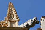 Gargoyle raptors, St. Mary's Cathedral, Segovia, Spain.