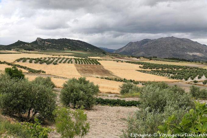 Lorca, scenery of the countryside in Murcia - Spain