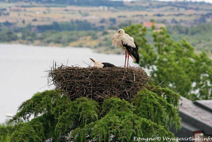 Manzanares el Real, storks - Spain