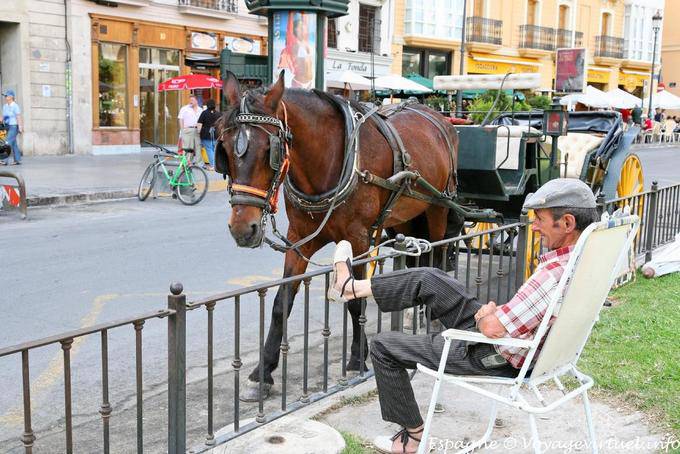 Valencia, rest for the carriage driver - Spain