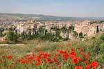 Cuenca, Panorama poppies, Spain.