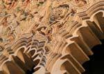Arabesques on the wall of the Holy Ark, Mudejar architecture, El Tránsito Synagogue, Toledo, Spain.