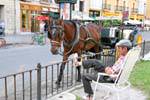 Valencia, rest for the carriage driver, Spain.