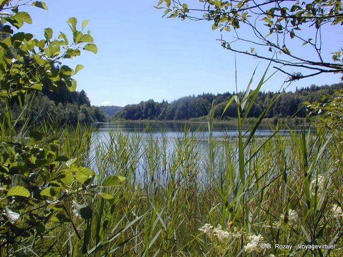 Lac du Petit Maclu, wilderness, Jura - Franche-Comté, France