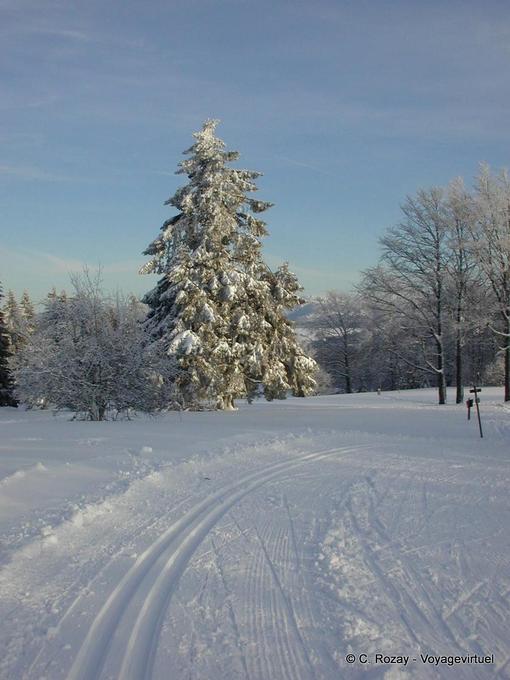 Solitude cross-country ski trails, Haut Doubs - Franche-Comté, France