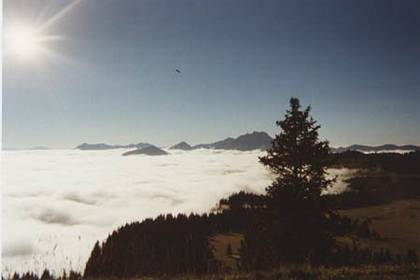 Fog in valley Alps