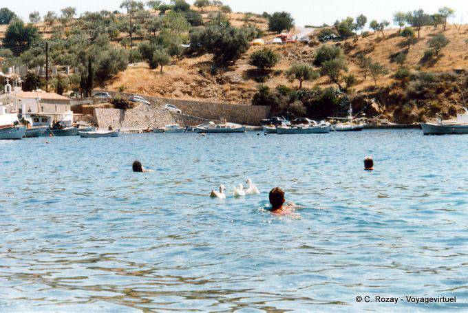 Swimming behind the ducks, Sampatiki - Greece