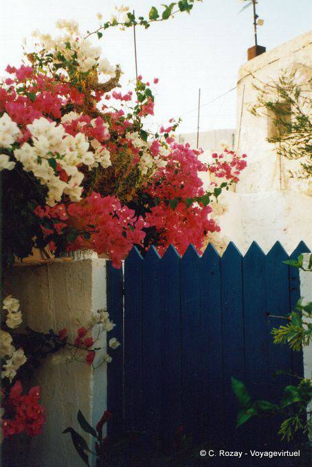 Bougainvillea in Chora, Anafi - Greece