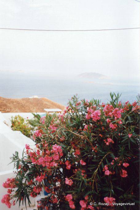 Rose bouquet and mist on the sea from Chora, Anafi Island - Greece