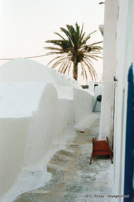 Palm tree on lime, Chora, Anafi - Greece