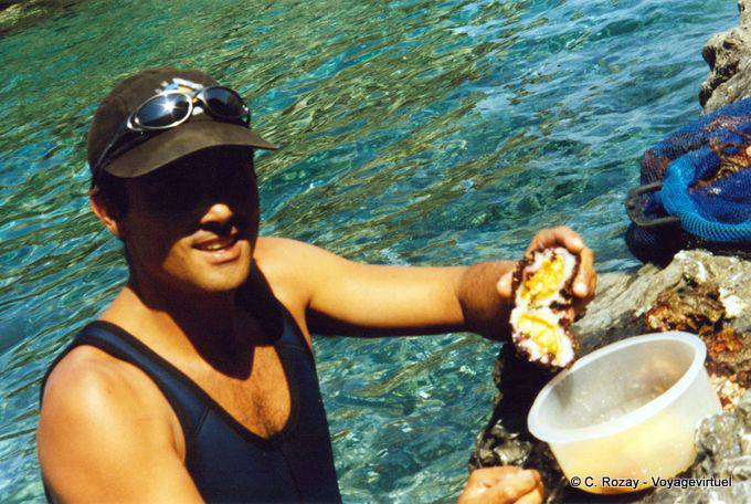 Wild marine meal oyster Anafi - Greece