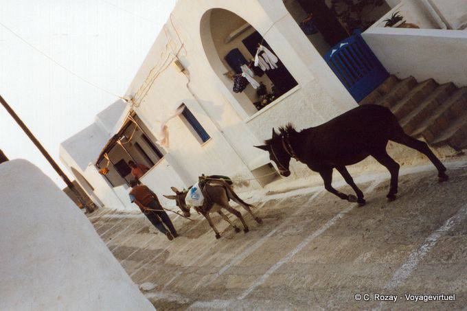 Donkeys at work, Anafi - Greece