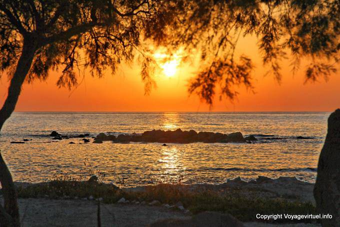 Milos, Pollonia, sunset on a tamarisk - Greece