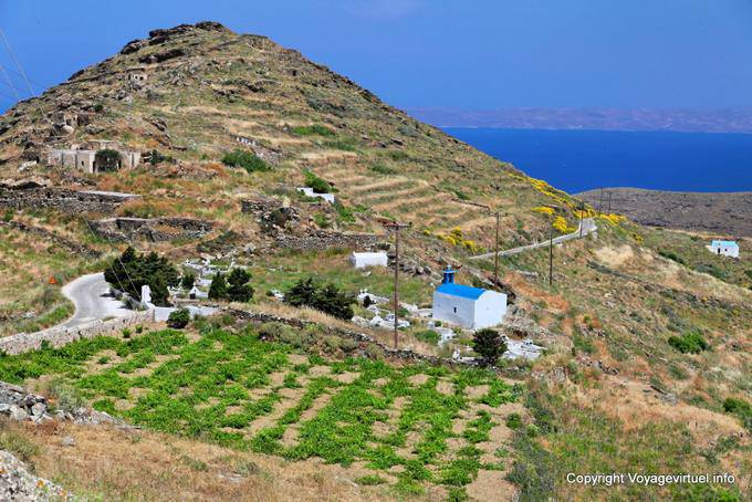 Serifos, Sikamia, vineyards and hills - Greece