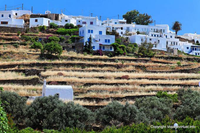 Sifnos, fields and houses in espalier, Kato Petali - Greece