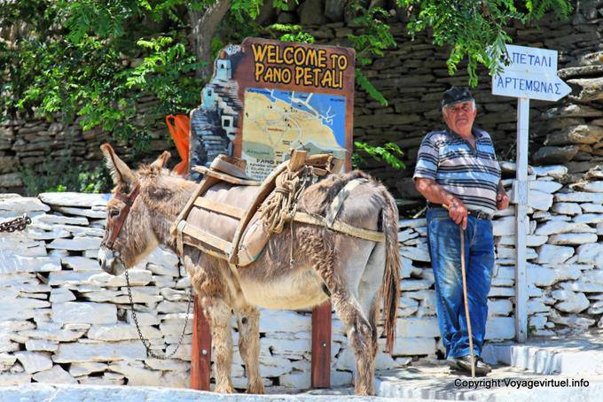 Sifnos, Pano Petali, the man and his donkey - Greece