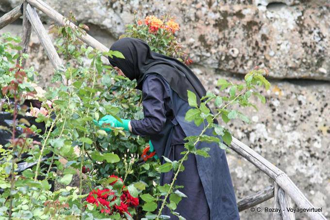 The good sister pink, Agios Stefanos Monastery, Meteora - Greece