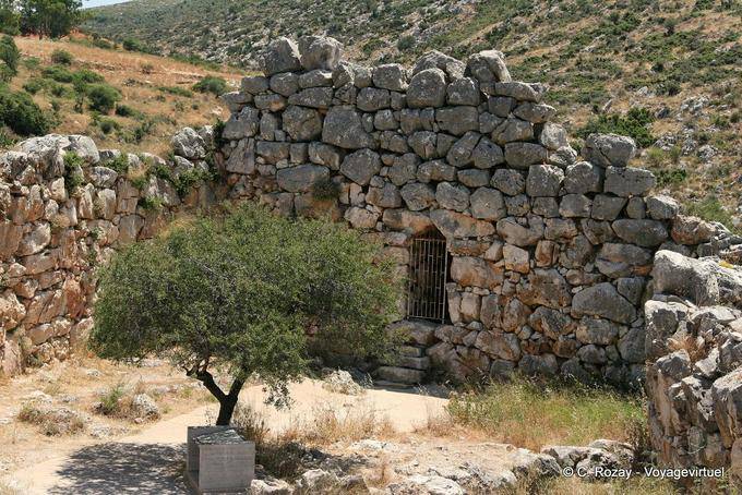 Olivier and cyclopean wall, Mycenae - Greece