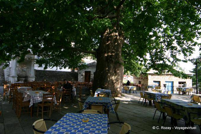 Terrace under a giant tree, Pinakates, Pelion - Greece
