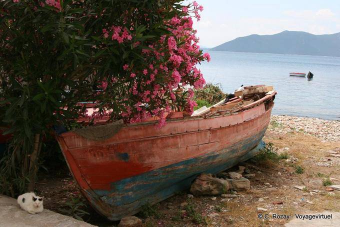 The cat and the old boat, Trikeri, Agia Kyriaki - Greece