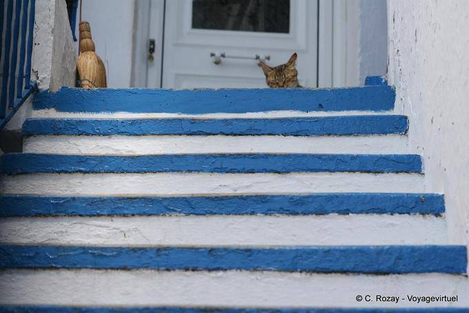 Cat on the stairs, Trikeri, Agia Kyriaki - Greece