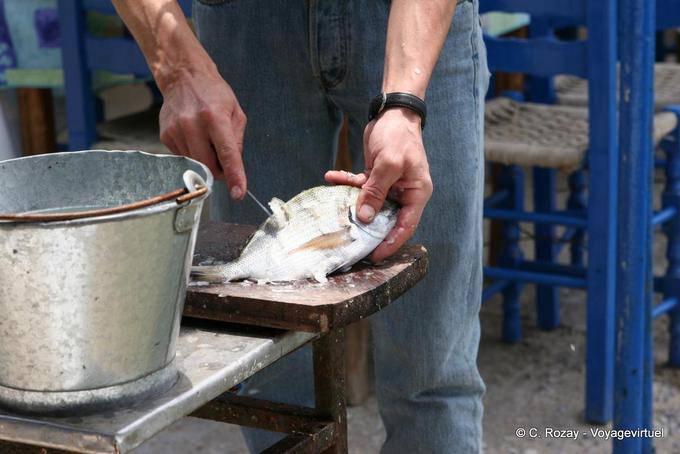 Preparation of fish, Trikeri, Agia Kyriaki - Greece
