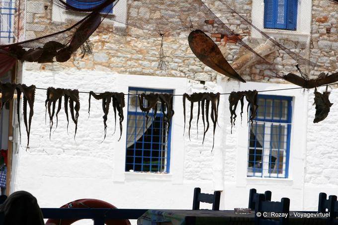 Octopus on a wire being dried, Trikeri Agia Kyriaki - Greece