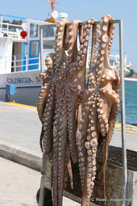 Octopus drying on the port, Poros - Greece