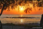 Milos, Pollonia, sunset on a tamarisk, Greece.