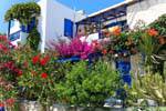 Milos, Pollonia, floral facade, Greece.