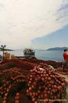 Fishing nets, Trikeri, Agia Kyriaki, Greece.