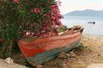 The cat and the old boat, Trikeri, Agia Kyriaki, Greece.