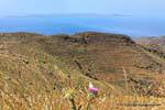 Serifos, Agios Mama, cultivation terraces, Greece.